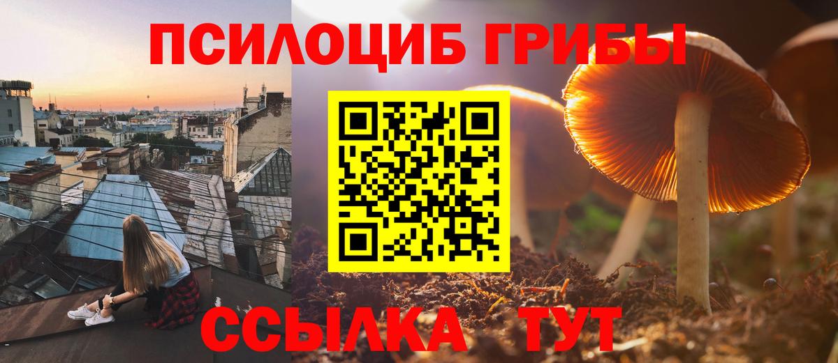 Коммунар  Псилоцибиновые грибы Psilocybine cubensis  Вход с VPN 